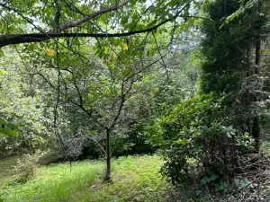 Pronájem zahrady, Křivoklát, 770 m2