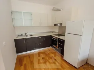 Pronájem bytu 1+kk, Praha - Holešovice, Varhulíkové, 49 m2