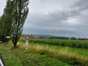 Prodej pole, Všeradice, 42604 m2