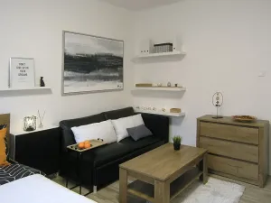 Pronájem bytu 2+kk, Ostrava, Myslbekova, 50 m2