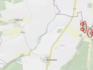 Prodej podílu lesa, Horšovský Týn, 4280 m2