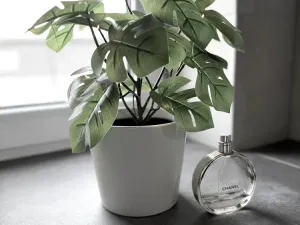 Pronájem bytu 2+kk, Brno - Ivanovice, Černohorská, 48 m2