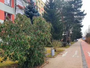 Prodej bytu 3+1, Mladá Boleslav - Mladá Boleslav II, Na Radouči, 84 m2