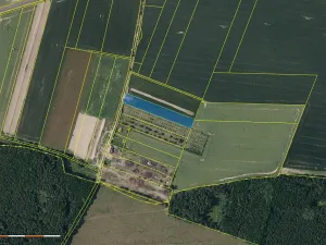 Prodej pole, Všesulov, 6065 m2