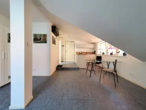 Pronájem bytu 1+kk, Plzeň - Vnitřní Město, Veleslavínova, 36 m2