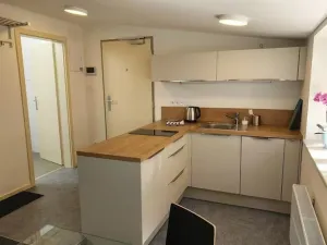 Pronájem bytu 1+kk, Plzeň - Vnitřní Město, Veleslavínova, 36 m2