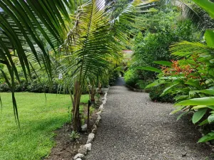 Prodej rodinného domu, Puerto Carrillo, Kostarika, 210 m2