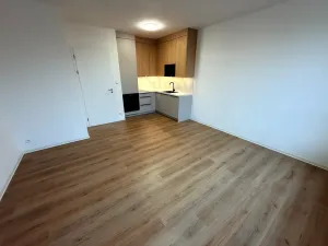 Pronájem bytu 1+kk, Praha - Ruzyně, Stočesova, 39 m2