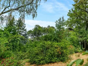 Prodej chaty, Praha - Přední Kopanina, Preláta, 26 m2