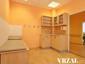Pronájem ordinace, Plzeň, Francouzská třída, 80 m2