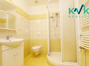 Pronájem bytu 1+1, Ostrov, Hroznětínská, 38 m2