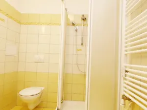 Pronájem bytu 1+1, Ostrov, Hroznětínská, 38 m2