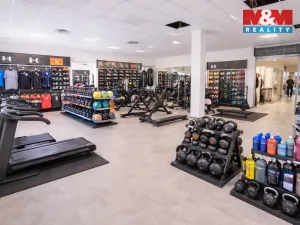 Pronájem obchodního prostoru, Benešov, Vnoučkova, 185 m2