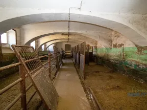 Prodej zemědělské usedlosti, Kojetice, 1113 m2