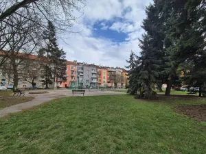 Pronájem bytu 1+kk, Pardubice - Zelené Předměstí, Palackého třída, 21 m2