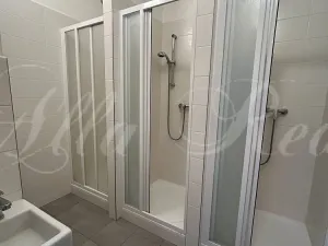 Pronájem bytu 5+kk, Brno - Ponava, Pionýrská, 15 m2