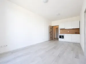 Pronájem bytu 2+kk, Milovice, Slepá, 31 m2