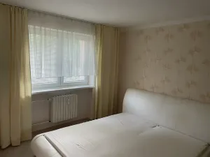 Pronájem bytu 2+1, Ostrava, Edisonova, 50 m2