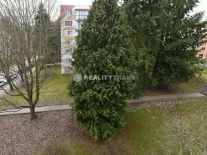 Prodej bytu 3+1, Strakonice, Dr. Jiřího Fifky, 62 m2