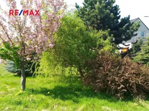 Prodej pozemku pro bydlení, Mikulovice, 1350 m2