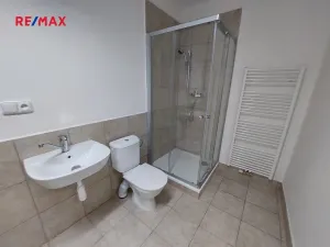 Pronájem obchodního prostoru, Slavkov u Brna, 200 m2