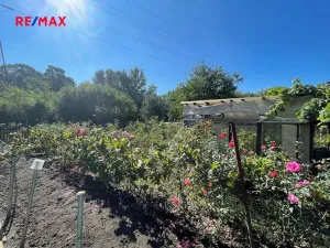 Prodej zahrady, Břeclav, 288 m2