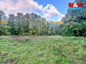 Prodej louky, Biskupice - Zálesí, 2421 m2