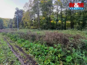 Prodej louky, Biskupice - Zálesí, 2421 m2