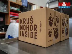 Prodej obchodního prostoru, Kraslice - Tisová, 560 m2