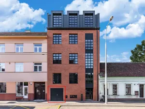 Pronájem komerční nemovitosti, Brno, Horova, 17 m2