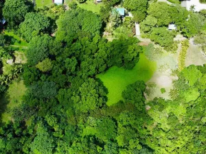 Prodej pozemku, Coxen Hole, Roatán, Honduras, 2090 m2