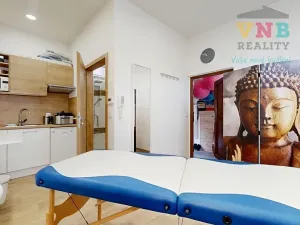 Prodej komerční nemovitosti, Prostějov, Sokolská, 205 m2