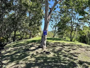 Prodej pozemku, Coxen Hole, Roatán, Honduras, 1884 m2