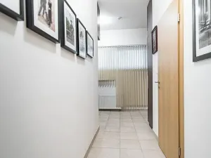 Prodej bytu 1+kk, Praha - Žižkov, U staré cihelny, 41 m2