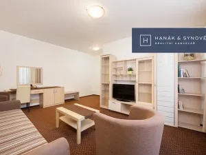 Pronájem bytu 2+1, Brno, Anenská, 49 m2