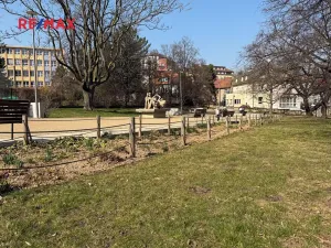 Prodej bytu 3+1, Praha - Žižkov, Buchovcova, 61 m2