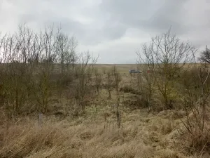 Prodej zahrady, Kunovice, 878 m2