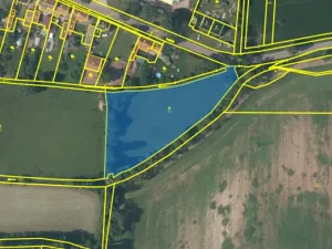 Prodej louky, Kněževes, Pražská, 4922 m2