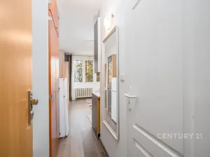 Pronájem bytu 1+kk, Ústí nad Labem, Větrná, 20 m2