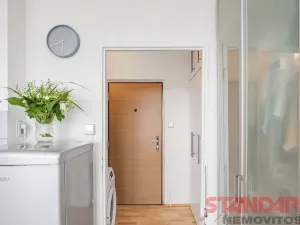 Pronájem bytu 1+kk, Plzeň, Tachovská, 34 m2