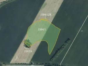 Prodej pole, Týnec, 58937 m2