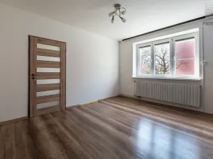 Prodej bytu 2+1, Brno, Opavská, 54 m2