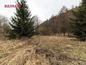 Prodej pozemku pro bydlení, Červená Voda, 949 m2