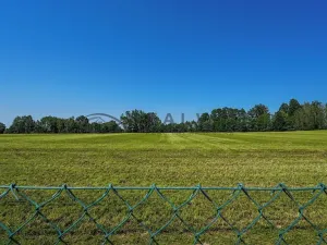 Prodej rodinného domu, Borovany, 237 m2