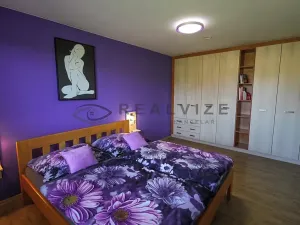 Prodej rodinného domu, Borovany, 237 m2