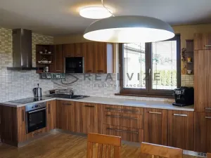 Prodej rodinného domu, Borovany, 237 m2