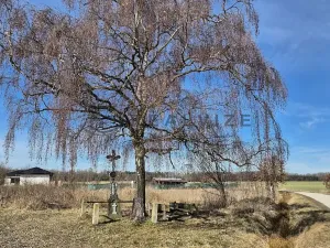 Prodej pozemku pro bydlení, Čejkovice, 1055 m2