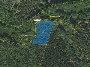 Dražba lesa, Čestín, 2055 m2