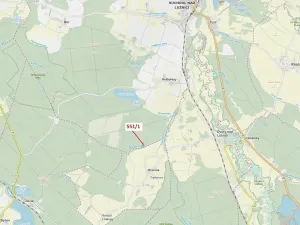 Dražba lesa, Suchdol nad Lužnicí, 9131 m2