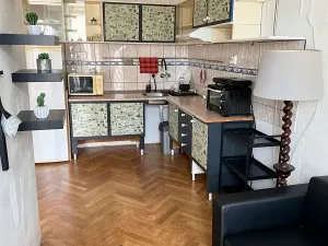Pronájem bytu 1+1, Praha - Podolí, Nedvědovo náměstí, 32 m2